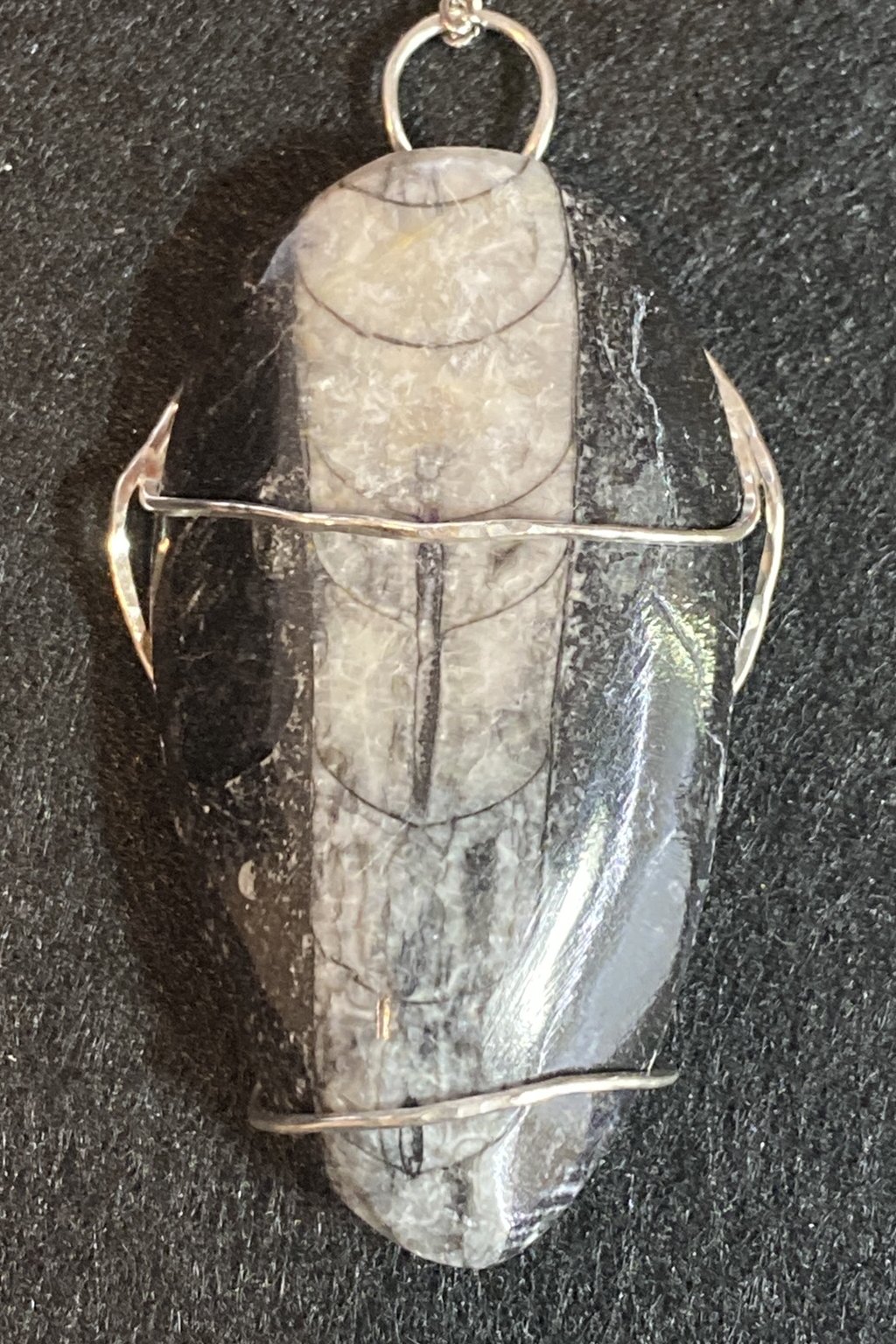 Tale Of The Ancient Mariner - Orthoceras Fossil Pendant Created By Rox pendant argentium_silver orthoceras