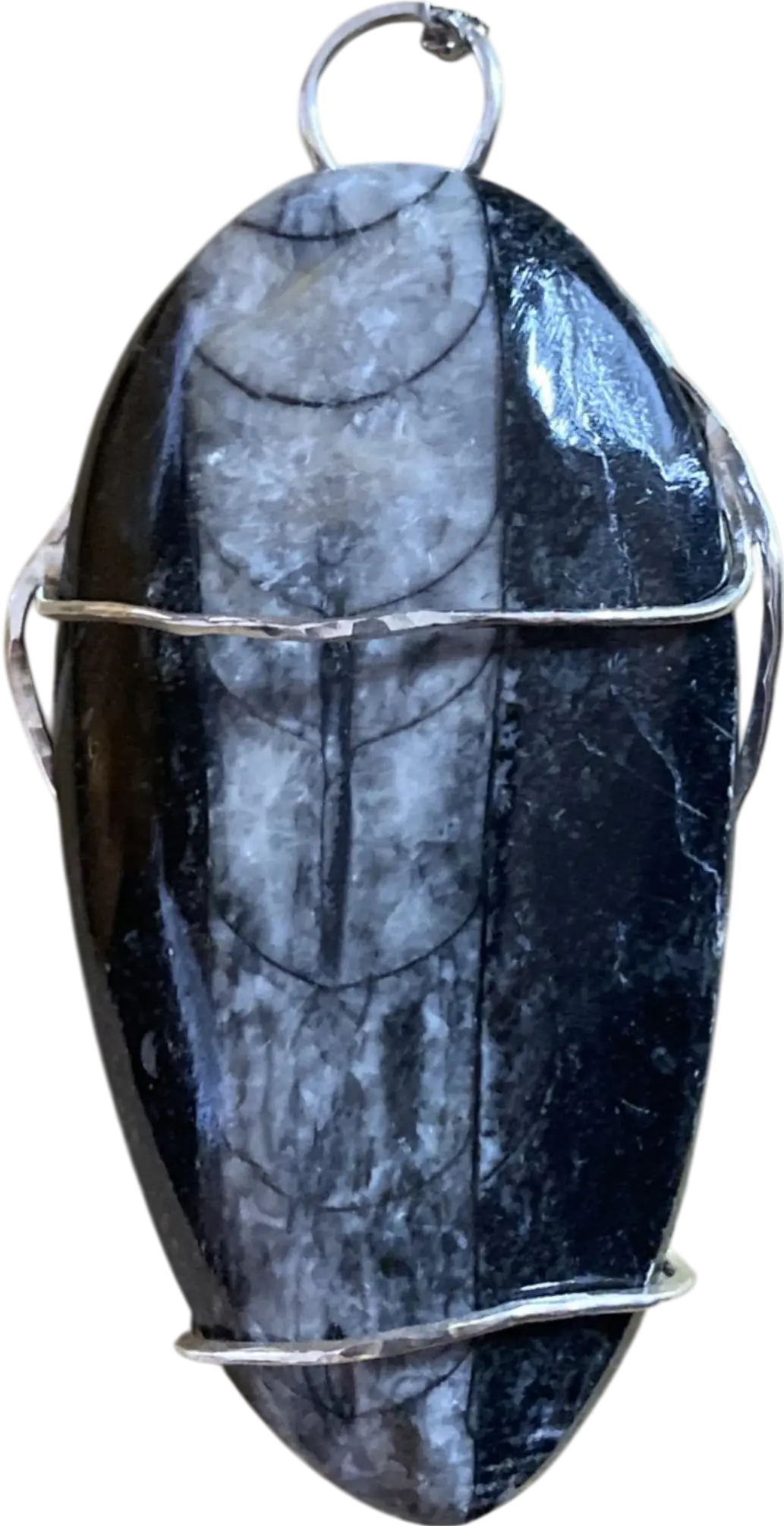 Tale Of The Ancient Mariner - Orthoceras Fossil - Striking Argentium Silver Fossil Pendant with Striking Orthoceras Uniquely Crafted By Rox